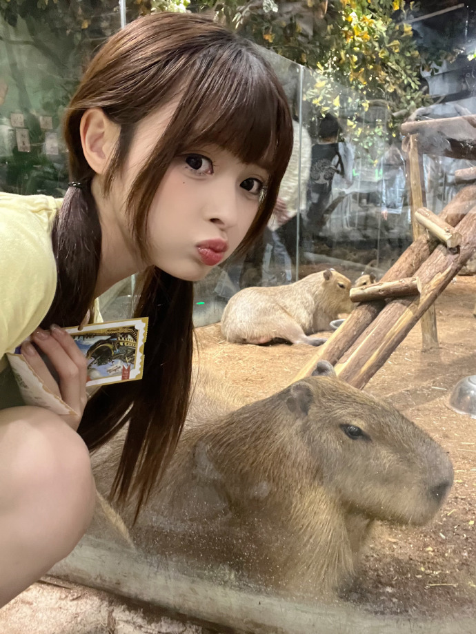 疾速追杀4 封面